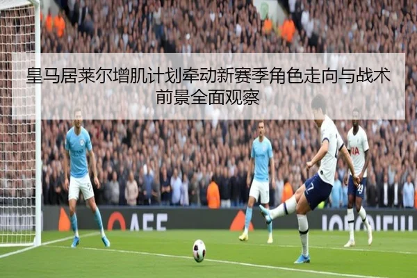 皇马居莱尔增肌计划牵动新赛季角色走向与战术前景全面观察